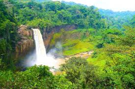 Cameroon visa requirements for pakistani passport