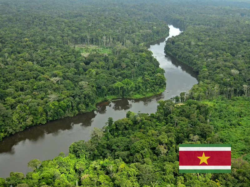 Suriname visa requirements for pakistani passport